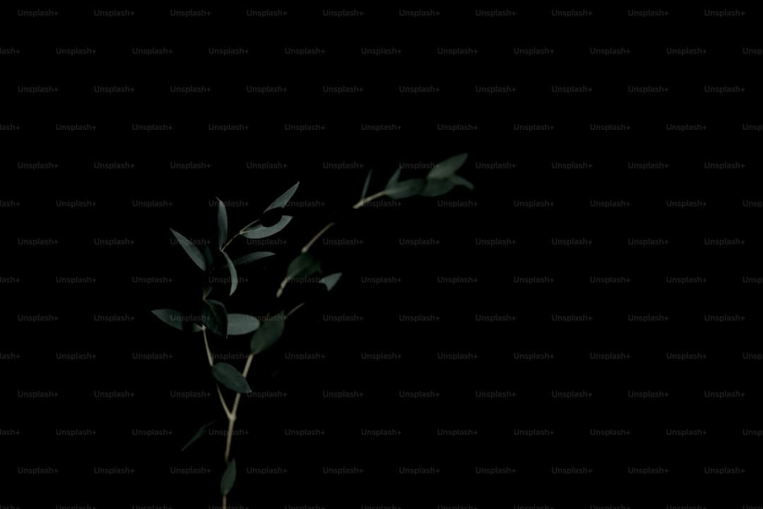 艺评丨常瑞芳:在国际的荒唐与日子的悲情中寻觅生命价值
